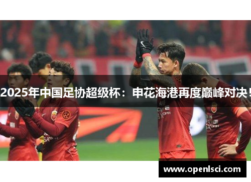 2025年中国足协超级杯：申花海港再度巅峰对决！